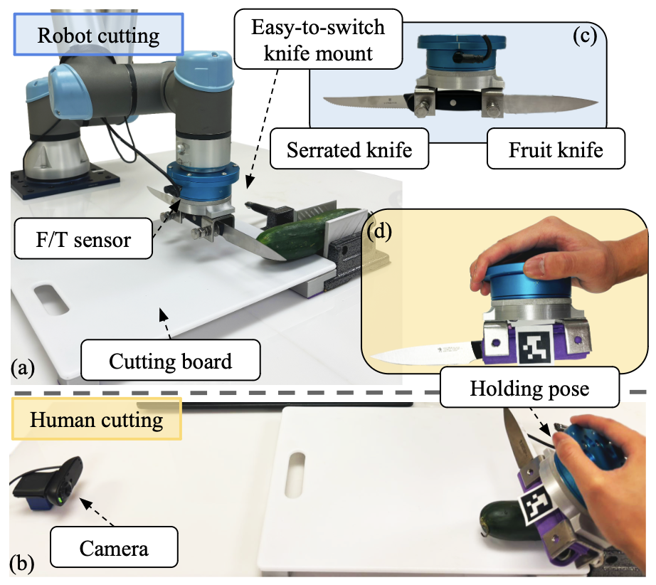 Robot and human evaluation setup